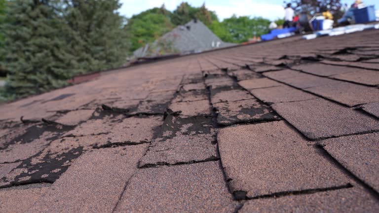 Best Roof Ventilation Installation  in West Falmouth, MA