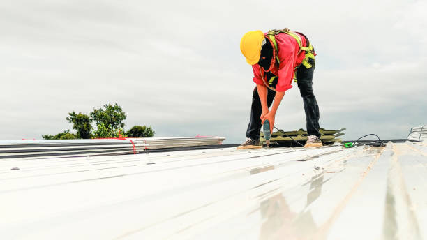 Best Roof Moss and Algae Removal  in West Falmouth, MA