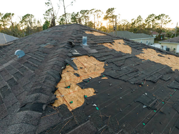 Best Roof Maintenance and Cleaning  in West Falmouth, MA